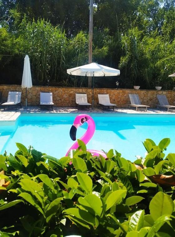 Appartement Savvas Dassia (Corfu)